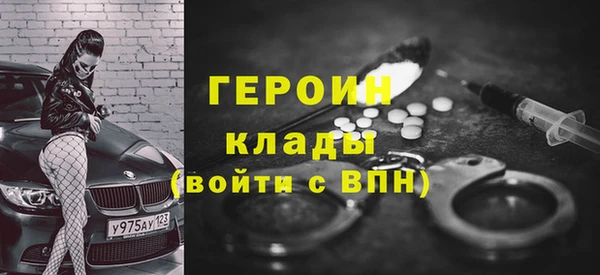 гидра Елабуга