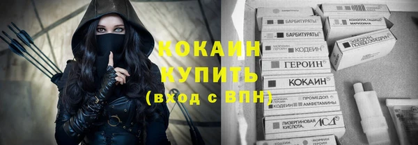 молекула духа Ельня