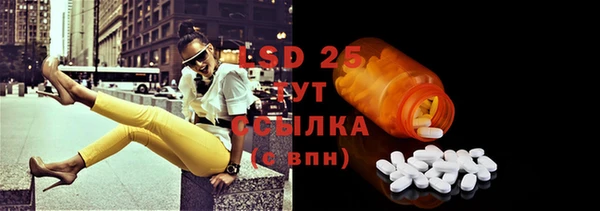 гидра Елабуга