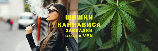 гидра Елабуга