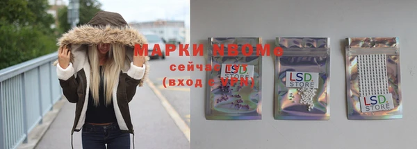гидра Елабуга