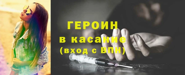 гидра Елабуга