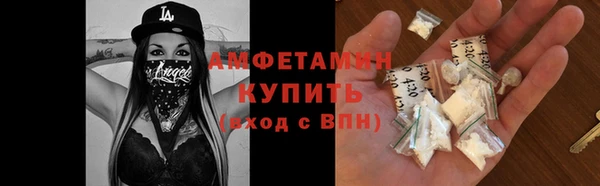 гидра Елабуга