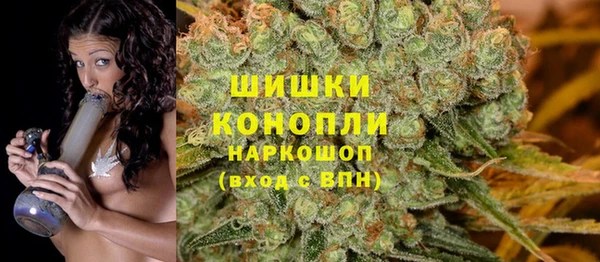 гидра Елабуга