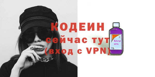 гидра Елабуга
