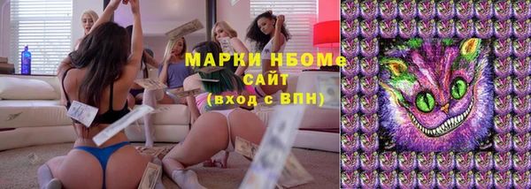 молекула духа Ельня