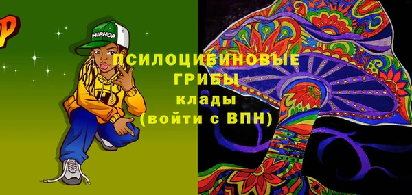 молекула духа Ельня