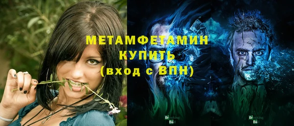 гидра Елабуга