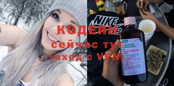 гидра Елабуга