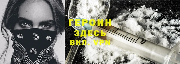 молекула духа Ельня