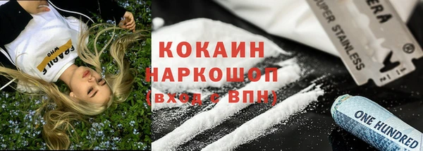 гидра Елабуга