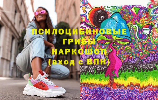 гидра Елабуга