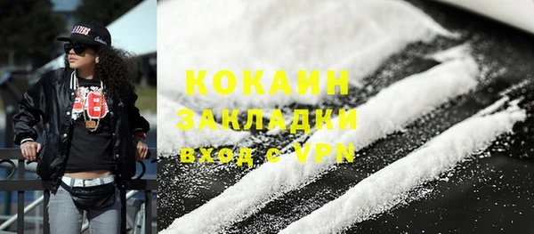 молекула духа Ельня