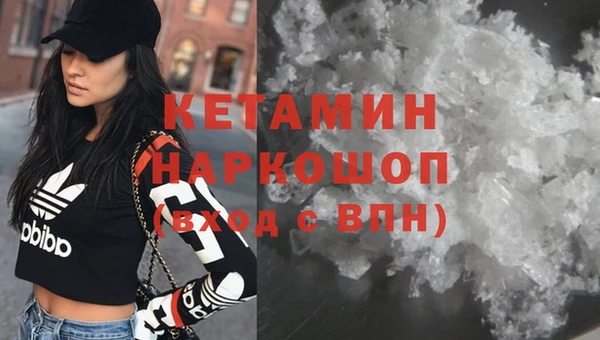 гидра Елабуга