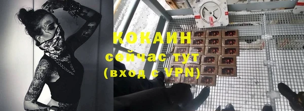 молекула духа Ельня