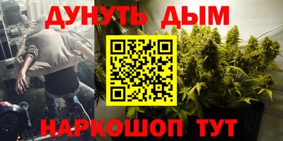 гидра Можга