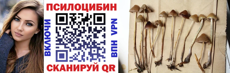 OMG ТОР  нарко площадка клад  Заринск  Псилоцибиновые грибы MAGIC MUSHROOMS  наркошоп 